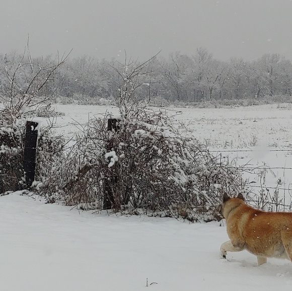 ๐ป๐Michelle๐๐ป - Picture 7 of 8